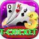 treble bet cricket Deluxe Edition v1.3.3
