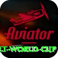 u19 cricket world cup Master v4.8.4
