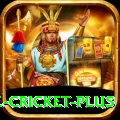 watch live cricket Pro Gaming App