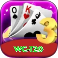 wc t20 Deluxe Pro v4.1.1