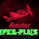 winpkr VIP v3.2.1