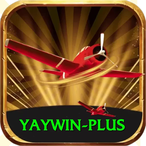 yaywin VIP Pro v2.4.4 - 2